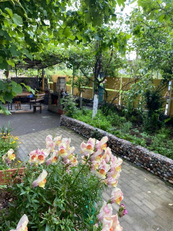 Guest House Mari يوريكي المظهر الخارجي الصورة